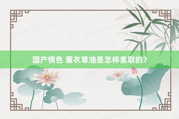 国产情色 薰衣草油是怎样索取的？