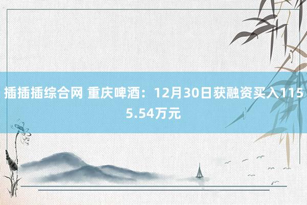 插插插综合网 重庆啤酒：12月30日获融资买入1155.54万元