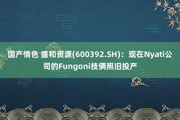 国产情色 盛和资源(600392.SH)：现在Nyati公司的Fungoni技俩照旧投产