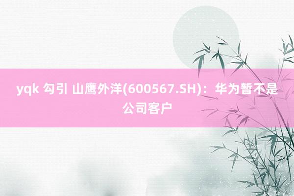 yqk 勾引 山鹰外洋(600567.SH)：华为暂不是公司客户