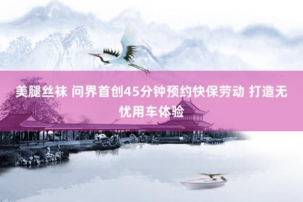 美腿丝袜 问界首创45分钟预约快保劳动 打造无忧用车体验