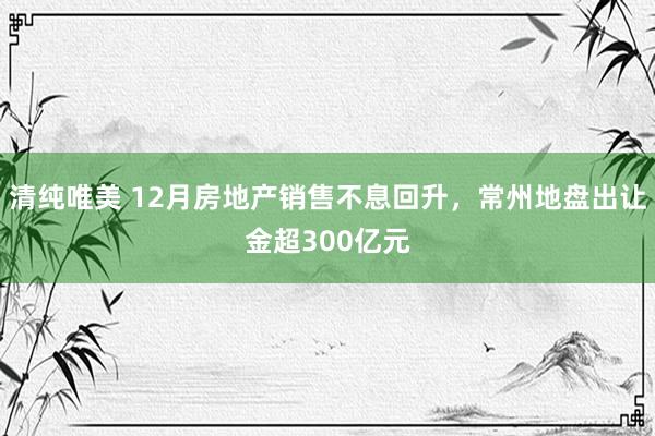 清纯唯美 12月房地产销售不息回升，常州地盘出让金超300亿元