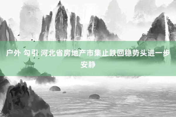 户外 勾引 河北省房地产市集止跌回稳势头进一步安静