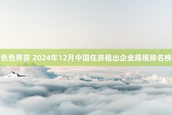 色色男孩 2024年12月中国住房租出企业规模排名榜
