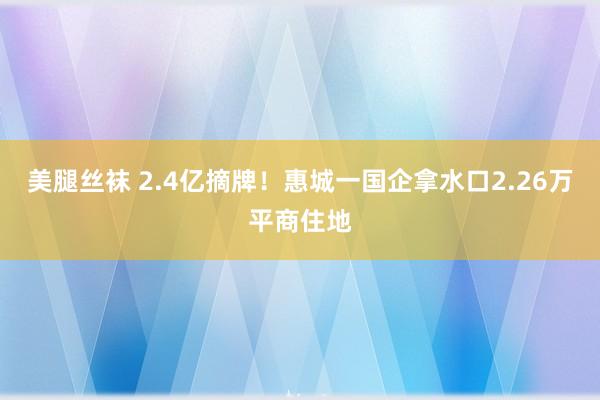 美腿丝袜 2.4亿摘牌！惠城一国企拿水口2.26万平商住地