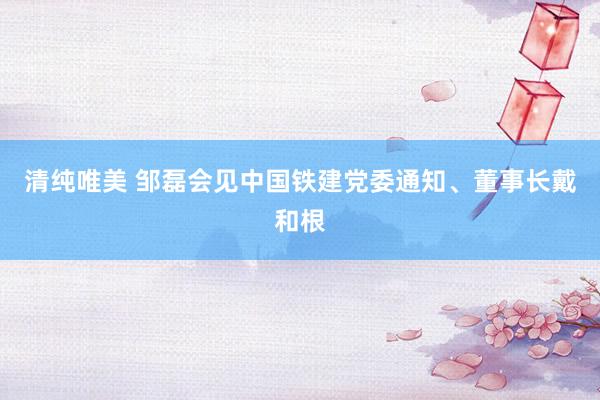 清纯唯美 邹磊会见中国铁建党委通知、董事长戴和根