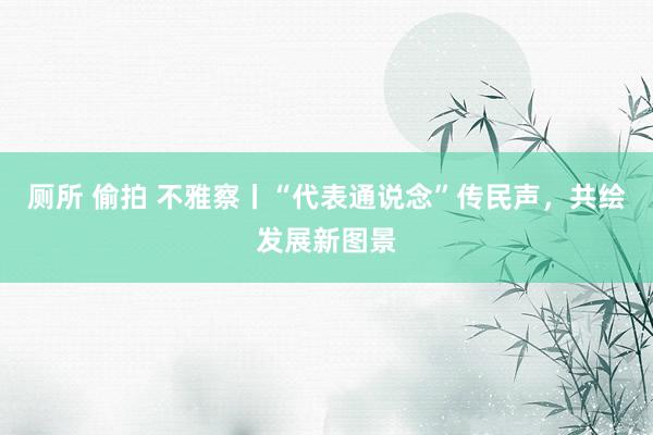 厕所 偷拍 不雅察丨“代表通说念”传民声，共绘发展新图景