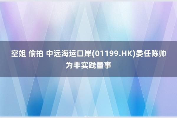 空姐 偷拍 中远海运口岸(01199.HK)委任陈帅为非实践董事