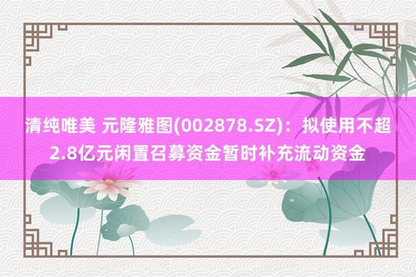 清纯唯美 元隆雅图(002878.SZ)：拟使用不超2.8亿元闲置召募资金暂时补充流动资金