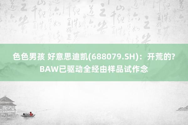 色色男孩 好意思迪凯(688079.SH)：开荒的?BAW已驱动全经由样品试作念