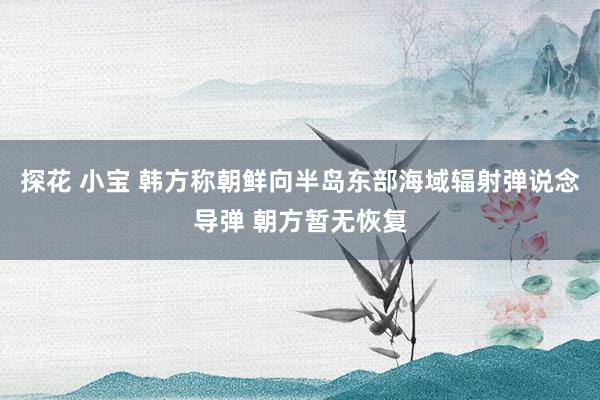 探花 小宝 韩方称朝鲜向半岛东部海域辐射弹说念导弹 朝方暂无恢复