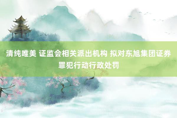 清纯唯美 证监会相关派出机构 拟对东旭集团证券罪犯行动行政处罚