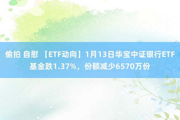 偷拍 自慰 【ETF动向】1月13日华宝中证银行ETF基金跌1.37%，份额减少6570万份