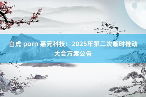 白虎 porn 嘉元科技：2025年第二次临时推动大会方案公告