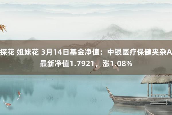 探花 姐妹花 3月14日基金净值：中银医疗保健夹杂A最新净值1.7921，涨1.08%