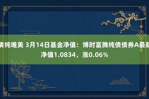 清纯唯美 3月14日基金净值：博时富腾纯债债券A最新净值1.0834，涨0.06%