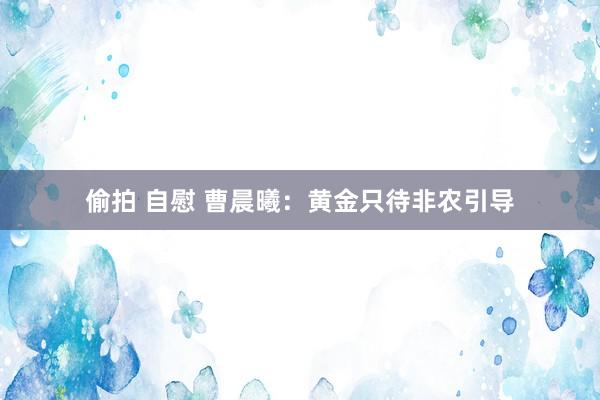 偷拍 自慰 曹晨曦：黄金只待非农引导