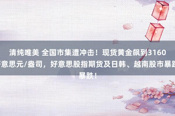 清纯唯美 全国市集遭冲击！现货黄金飙到3160好意思元/盎司，好意思股指期货及日韩、越南股市暴跌！
