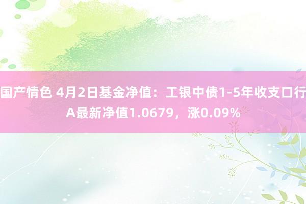 国产情色 4月2日基金净值：工银中债1-5年收支口行A最新净值1.0679，涨0.09%