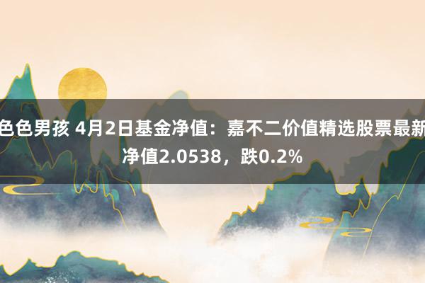 色色男孩 4月2日基金净值：嘉不二价值精选股票最新净值2.0538，跌0.2%