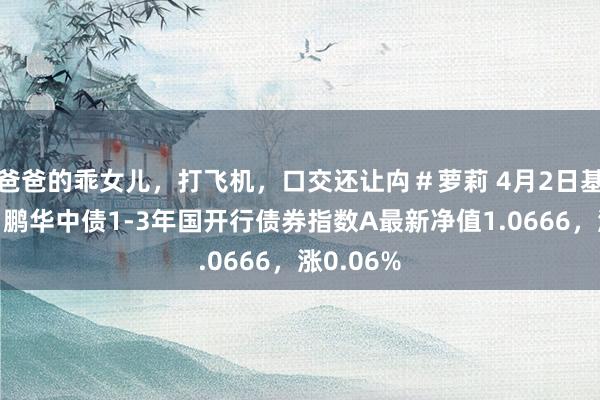 爸爸的乖女儿，打飞机，口交还让禸＃萝莉 4月2日基金净值：鹏华中债1-3年国开行债券指数A最新净值1.0666，涨0.06%