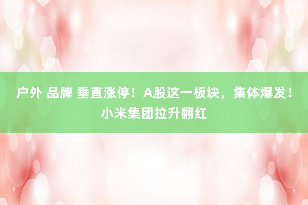 户外 品牌 垂直涨停！A股这一板块，集体爆发！小米集团拉升翻红