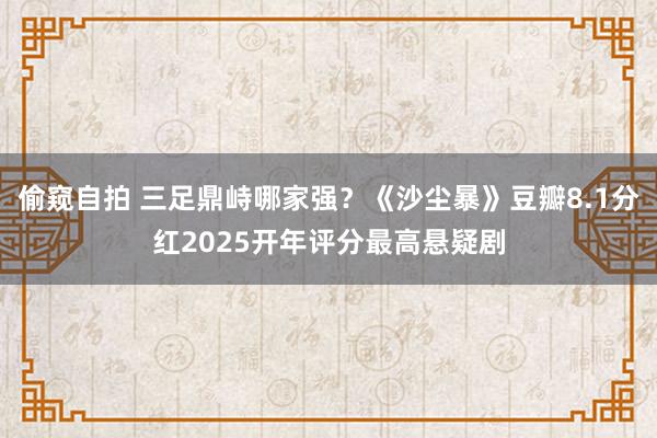 偷窥自拍 三足鼎峙哪家强？《沙尘暴》豆瓣8.1分红2025开年评分最高悬疑剧