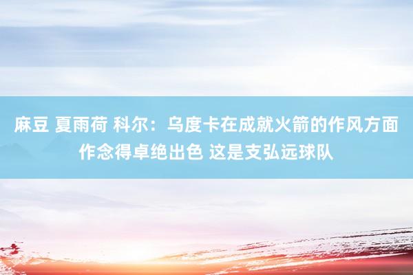 麻豆 夏雨荷 科尔：乌度卡在成就火箭的作风方面作念得卓绝出色 这是支弘远球队