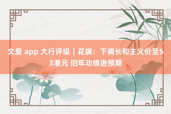 文爱 app 大行评级｜花旗：下调长和主义价至53港元 旧年功绩逊预期