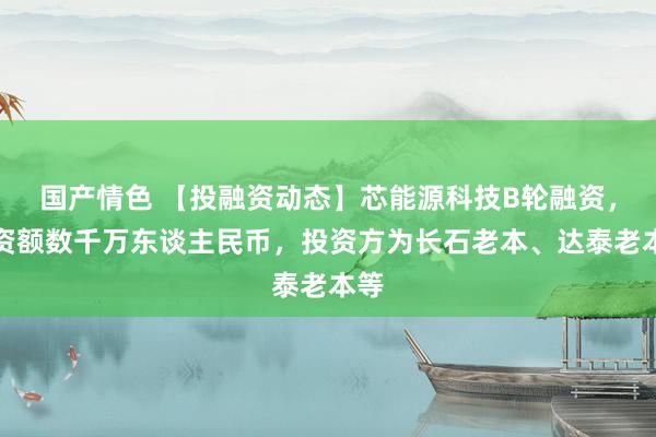 国产情色 【投融资动态】芯能源科技B轮融资，融资额数千万东谈主民币，投资方为长石老本、达泰老本等