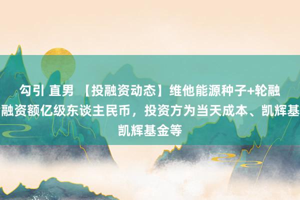 勾引 直男 【投融资动态】维他能源种子+轮融资，融资额亿级东谈主民币，投资方为当天成本、凯辉基金等