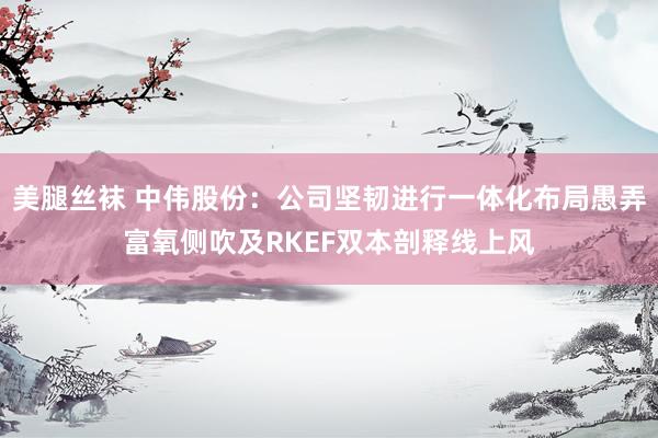 美腿丝袜 中伟股份：公司坚韧进行一体化布局愚弄富氧侧吹及RKEF双本剖释线上风