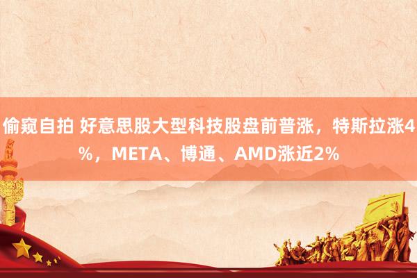 偷窥自拍 好意思股大型科技股盘前普涨，特斯拉涨4%，META、博通、AMD涨近2%