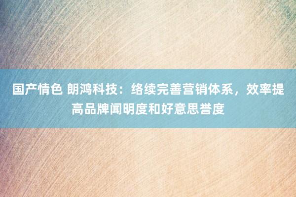 国产情色 朗鸿科技：络续完善营销体系，效率提高品牌闻明度和好意思誉度