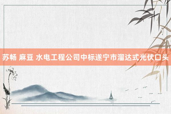 苏畅 麻豆 水电工程公司中标遂宁市溜达式光伏口头