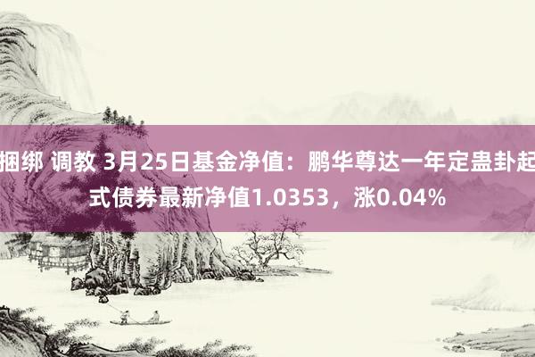 捆绑 调教 3月25日基金净值：鹏华尊达一年定蛊卦起式债券最新净值1.0353，涨0.04%