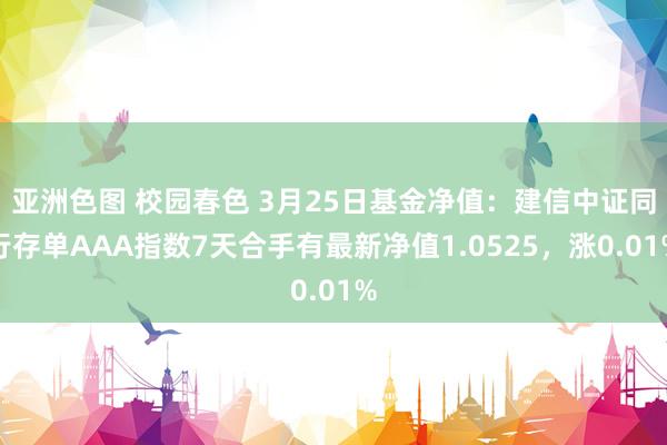 亚洲色图 校园春色 3月25日基金净值：建信中证同行存单AAA指数7天合手有最新净值1.0525，涨0.01%