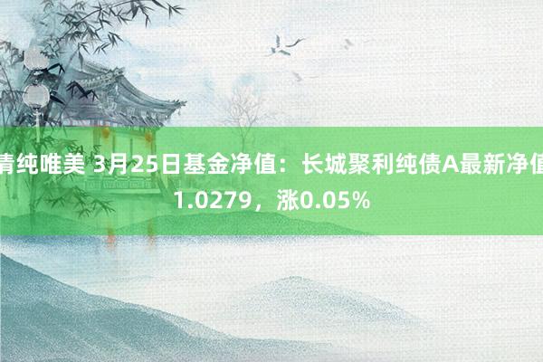 清纯唯美 3月25日基金净值：长城聚利纯债A最新净值1.0279，涨0.05%