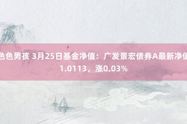 色色男孩 3月25日基金净值：广发景宏债券A最新净值1.0113，涨0.03%