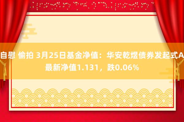 自慰 偷拍 3月25日基金净值：华安乾煜债券发起式A最新净值1.131，跌0.06%