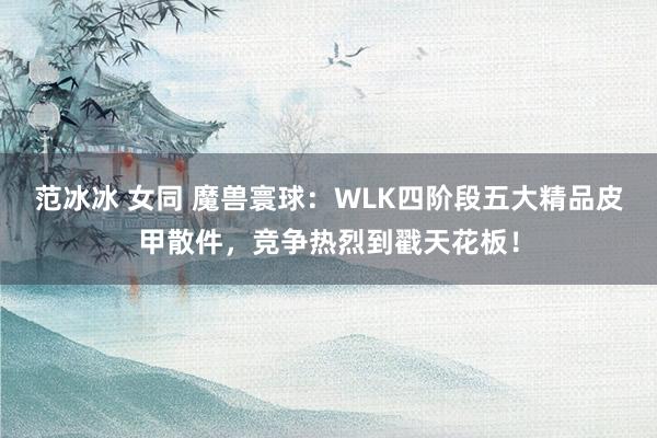 范冰冰 女同 魔兽寰球：WLK四阶段五大精品皮甲散件，竞争热烈到戳天花板！