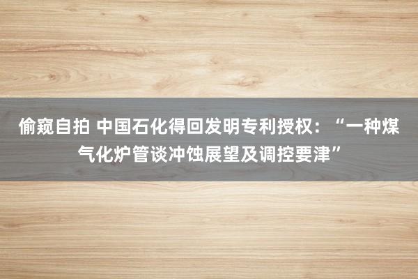 偷窥自拍 中国石化得回发明专利授权：“一种煤气化炉管谈冲蚀展望及调控要津”