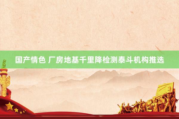 国产情色 厂房地基千里降检测泰斗机构推选
