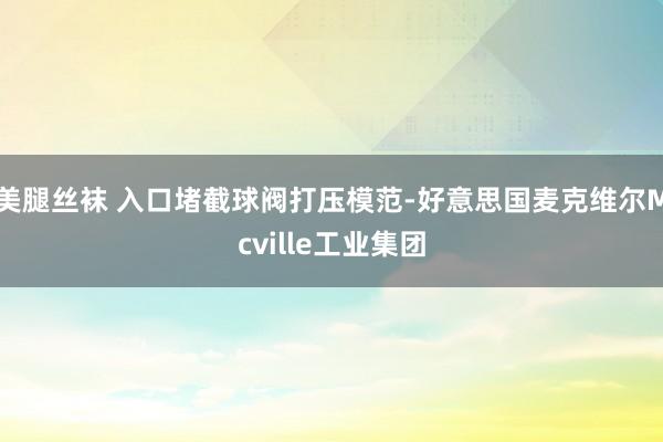 美腿丝袜 入口堵截球阀打压模范-好意思国麦克维尔Mcville工业集团