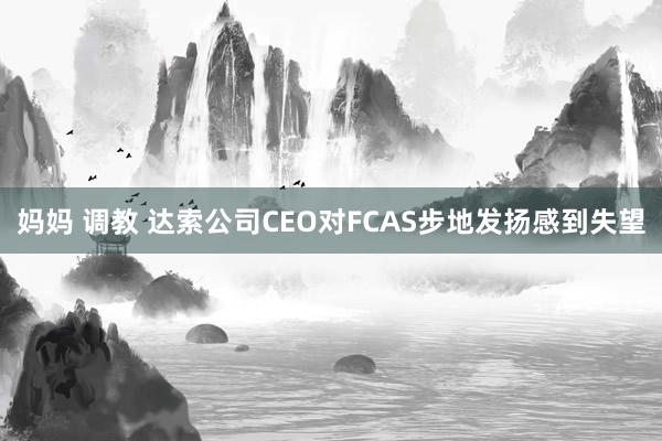 妈妈 调教 达索公司CEO对FCAS步地发扬感到失望