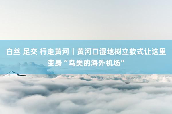 白丝 足交 行走黄河丨黄河口湿地树立款式让这里变身“鸟类的海外机场”
