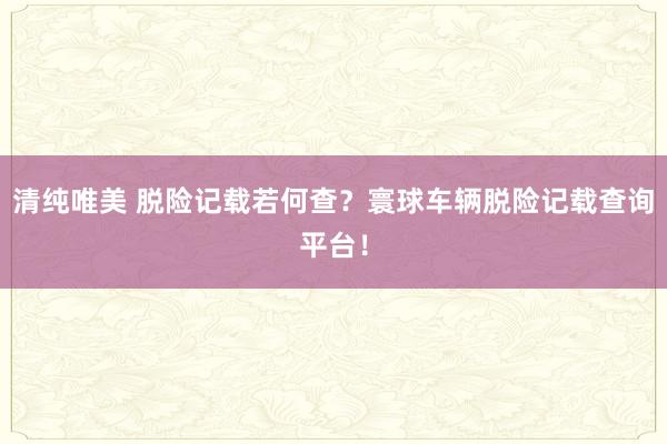 清纯唯美 脱险记载若何查？寰球车辆脱险记载查询平台！