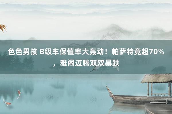 色色男孩 B级车保值率大轰动！帕萨特竟超70%，雅阁迈腾双双暴跌