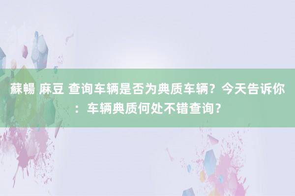 蘇暢 麻豆 查询车辆是否为典质车辆？今天告诉你：车辆典质何处不错查询？