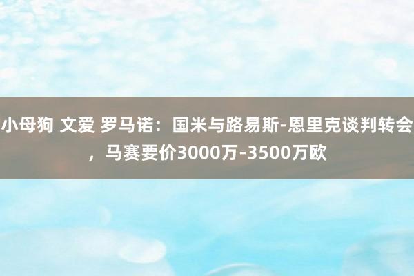 小母狗 文爱 罗马诺：国米与路易斯-恩里克谈判转会，马赛要价3000万-3500万欧
